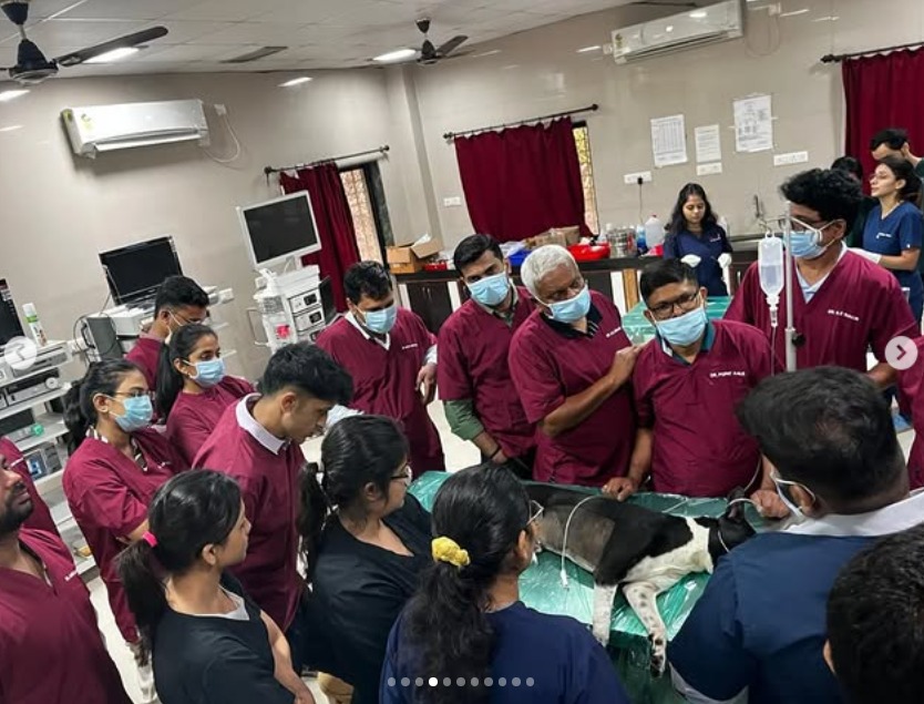 Endoscopy Demonstration To Participants During SAFRE October 2024